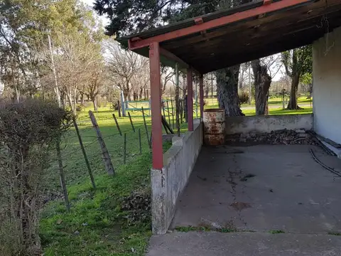 Batalla De Cancha Rayada  100