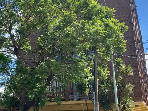 Guido Spano 300, Piso 1