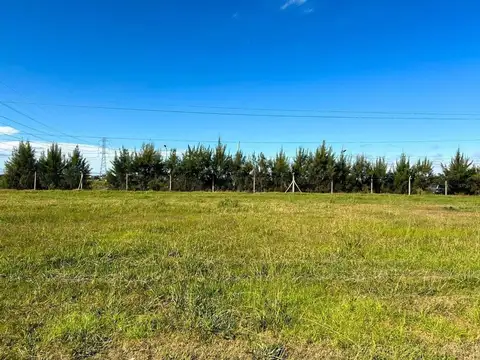 Camino A Dique Luján-rene Favaloro 300