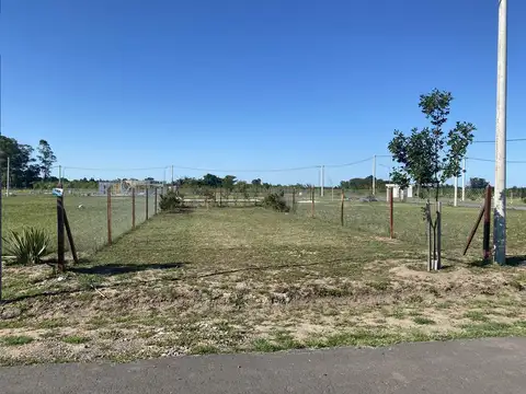 EcoVida Villa Amelia