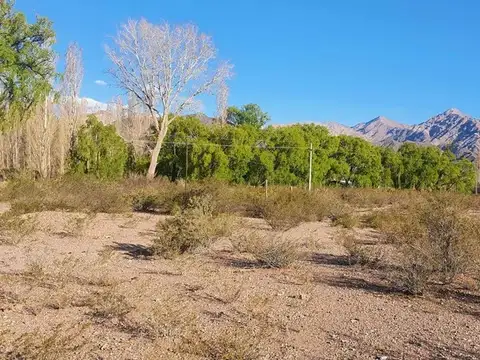 Calle pública n°1 s/n, Los Álamos, Uspallata