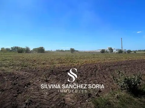 12 HECTAREAS INDUSTRIALES EN VENTA, LOS CARDALES, RP 6 KM 179,4