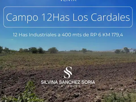 12 HECTAREAS INDUSTRIALES EN VENTA, LOS CARDALES, RP 6 KM 179,4