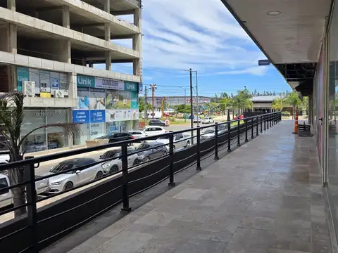 Local en Alquiler A Estrenar