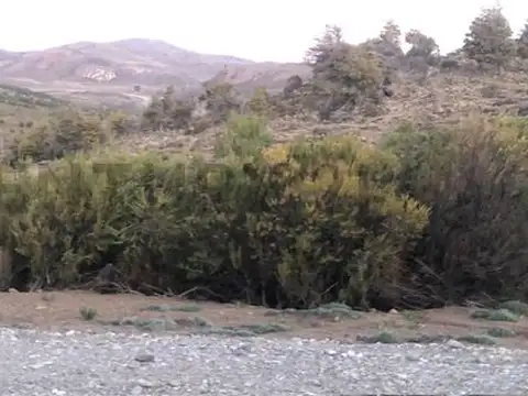 Terreno en Venta en Dina Huapi, USD 75.000