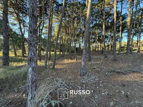 Bosques Pinamar Norte