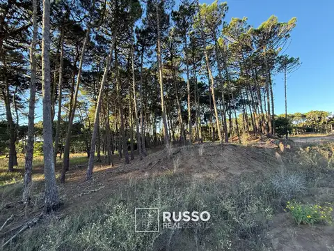 Bosques Pinamar Norte