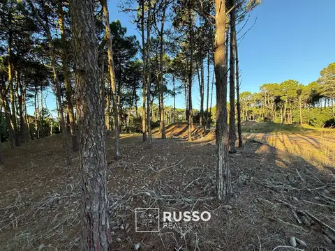 VENTA - LOTE EN BOSQUES PINAMAR - BARRIO TAMARISCO