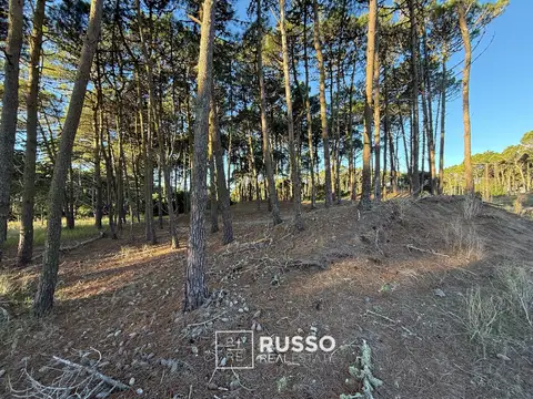 Terreno en Venta de 1072,0 m2