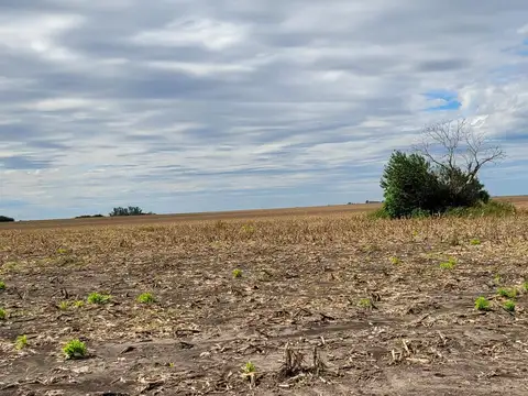 Campo - General Almada