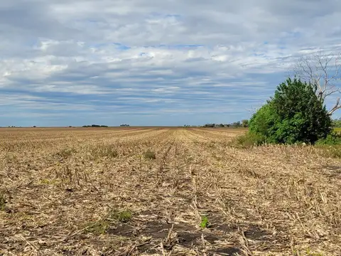 Campo - General Almada