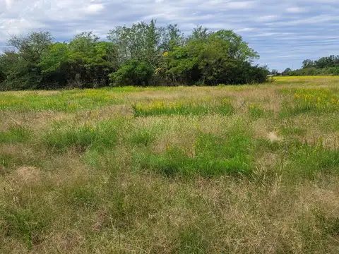 Campo 50 has. Gral.  Almada