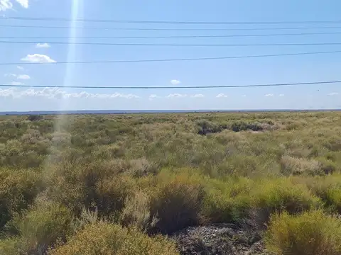 VENTA LOTE apto a Industria (con frente de ruta), camino a Añelo.  Oportunidad de INVERSION 