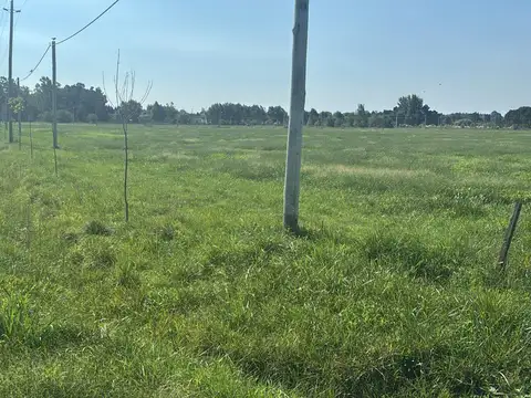 Terreno en  LOBOS Barrio Don Felipe