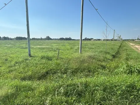 Terreno en Venta en Lobos, USD 15.900