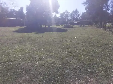 Terreno en Venta en Arturo Segui, USD 17.000