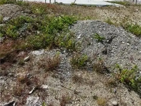 Terreno en Venta en Rio Grande, USD 25.000