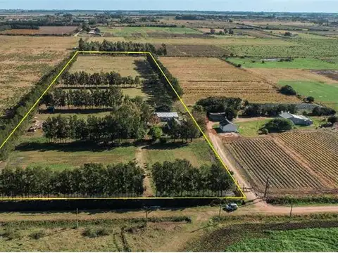 3.5 Ha, Colonia Wilson - Descanso  y Esparcimiento