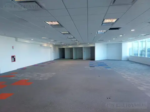 AVALOS CORONEL INTENDENTE AMARO  N°2829 - Ed. 2 Piso 3°