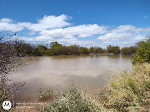 VENTA 20 HECTAREAS- VINCHINA