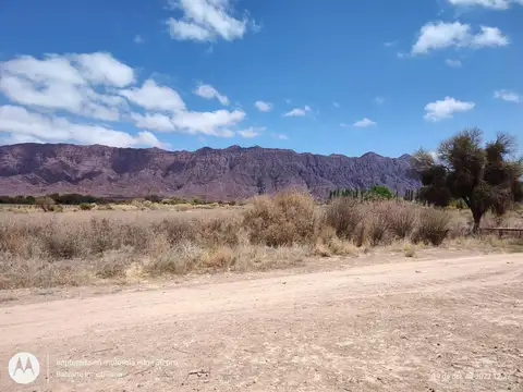 Terreno en Venta de 220000,0 m2