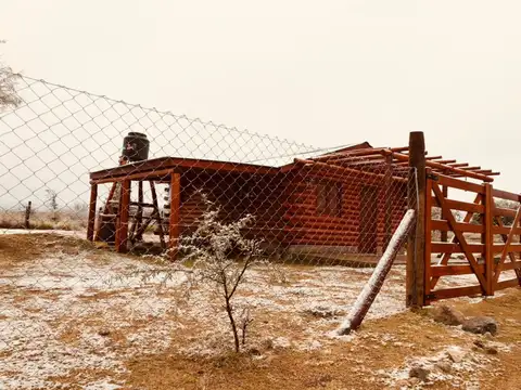 Araucarias y Reina Mora