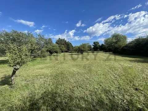 Manzana 98 lote 6 , Piso 0