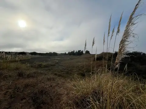 Ruta Provincial 11 El Salvaje 100