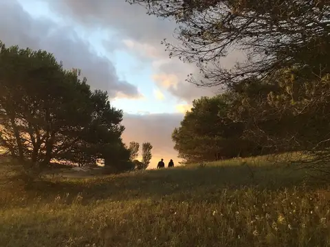 Terreno en Venta de 2740,0 m2