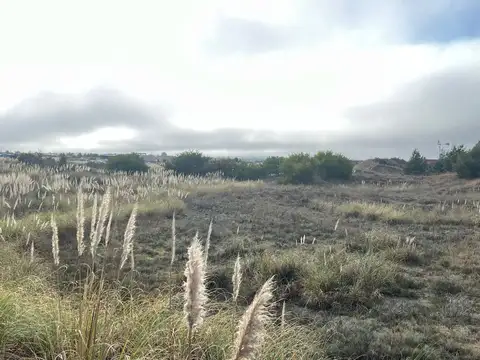 Ruta Provincial 11 El Salvaje 100