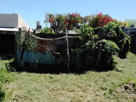 Chivilcoy e/ Colon y Libertad