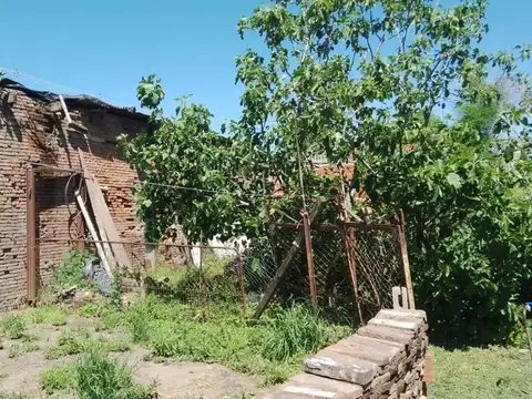 Chivilcoy e/ Colon y Libertad