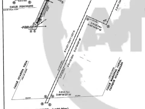 Calle Pincolini