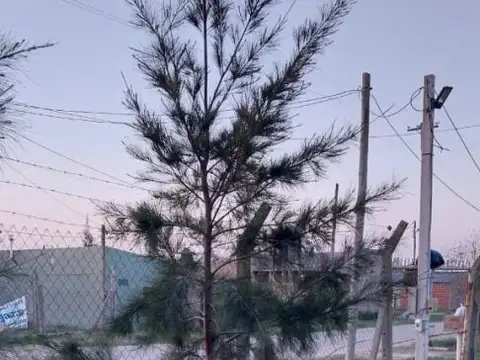 Terreno en Venta de 380,0 m2