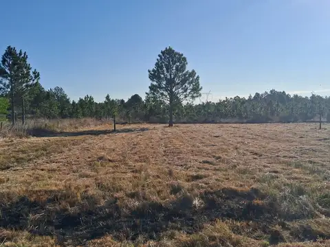 Zona Golf Club Concordia