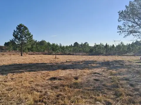 Terreno en Venta en Concordia, USD 180.000