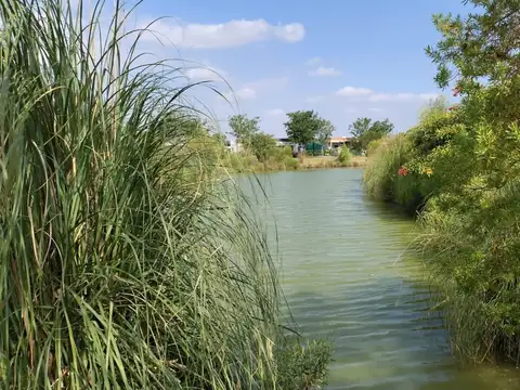 TERRENO EN VENTA  PILAR DEL ESTE