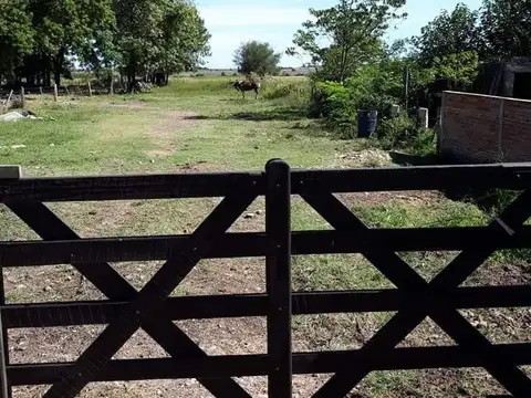 Terreno en Venta 16,50  mts Frente