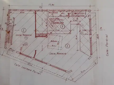 Laureana Ferrari 100