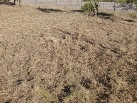 Terreno en Venta de 1125,0 m2