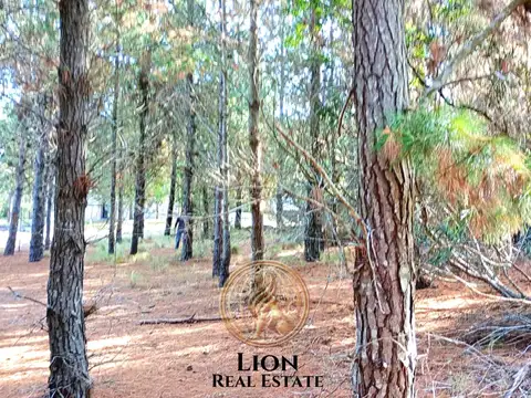 Barrio Ecuestre Lote 52