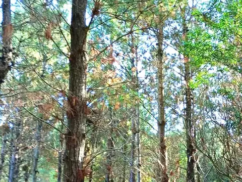 Terreno en Venta en Costa Esmeralda, USD 53.000