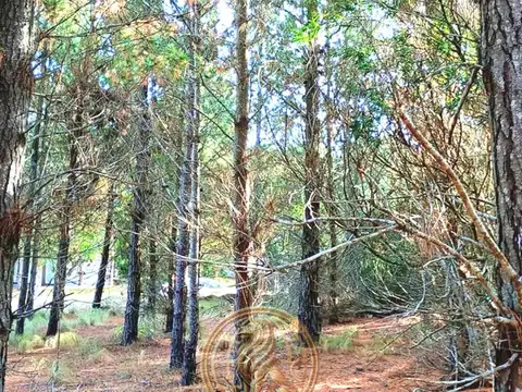 Terreno en Venta 20  mts Frente