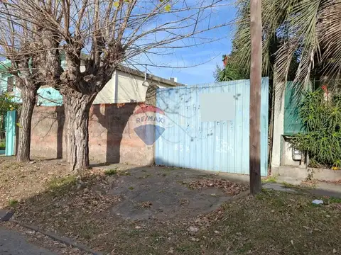 Albert Schweitzer 3200