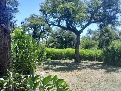 Casa en Venta de 1 dormitorio