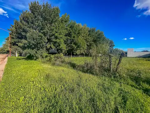 Terreno en Venta en Armstrong, USD 50.000