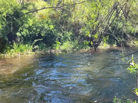 Avenida Patagonia Agentina 100