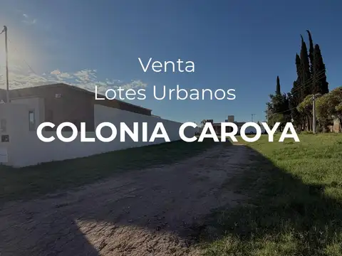 VENTA- 5 TERRENOS-COLONIA CAROYA