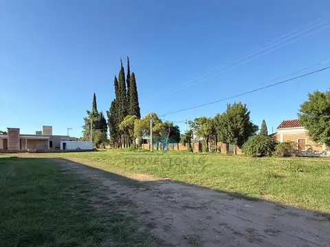 VENTA- 5 TERRENOS-COLONIA CAROYA