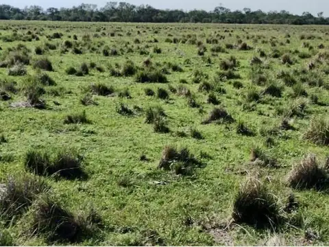 602 ha costa Rio Parana - Corrientes